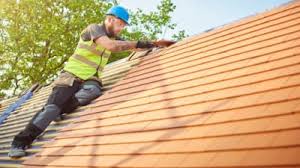 Best Roof Moss and Algae Removal  in Dalton Gardens, ID