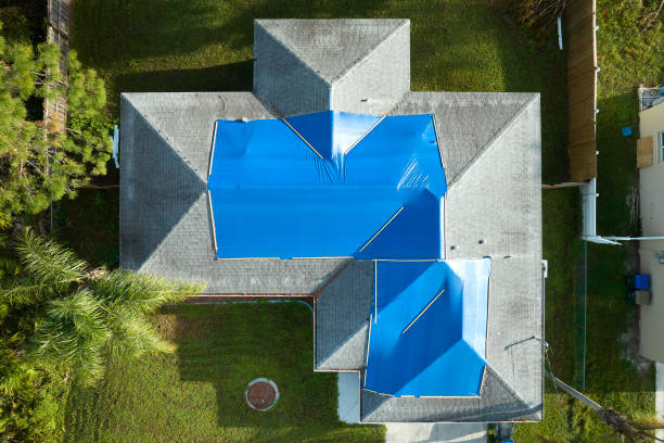 Best Metal Roofing Installation  in Dalton Gardens, ID