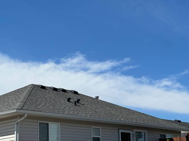 Reliable Dalton Gardens, ID Roofing Service Solutions